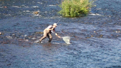 Big River Race 2026